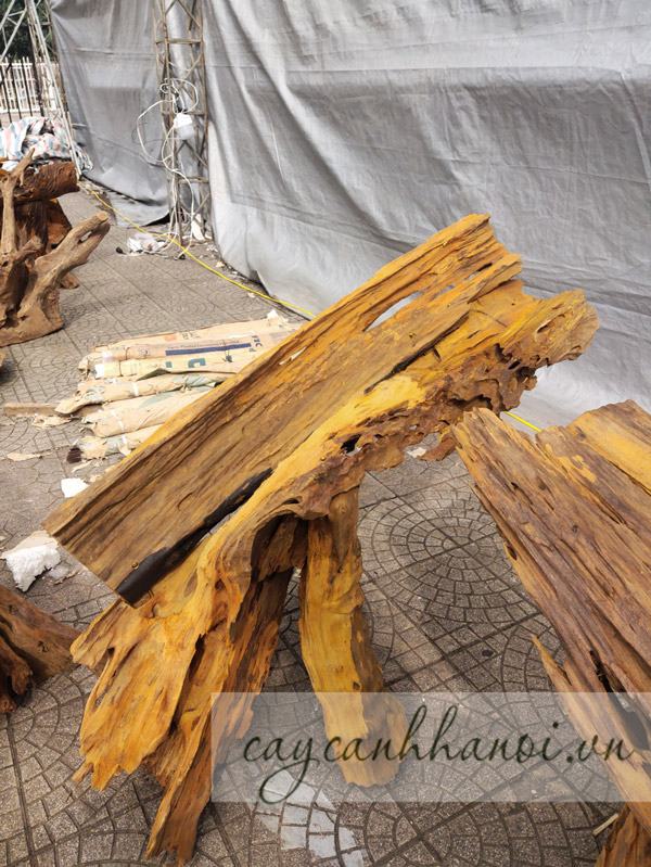 Tiêu chí lựa chọn gỗ lũa ghép lan hồ đẹp