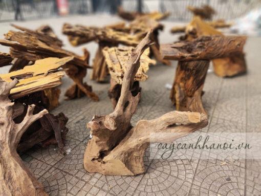 Mua gỗ lũa trồng lan hồ điệp đẹp tại Hà Nội