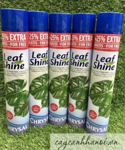 Chai xịt bóng lá LeafShine CRYSTAL giúp lá có độ bóng tự nhiên