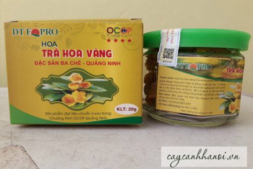 Chè hoa vàng Ba Chẽ sấy lạnh đặc sản Quảng Ninh