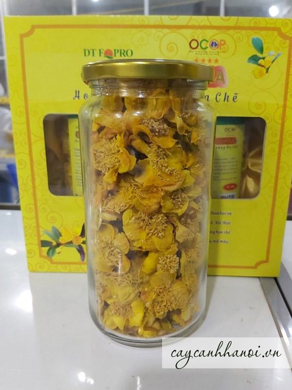 Chất lượng trà hoa vàng Ba Chẽ hoa sấy lạnh