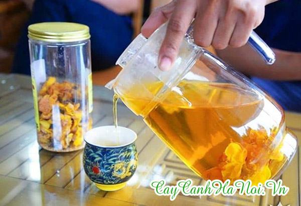 Cách pha trà hoa vàng ngon