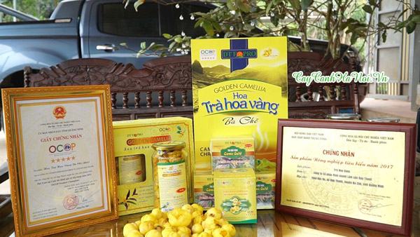 Nơi bán trà hoa vàng Ba Chẽ xuất khẩu tại Hà Nội