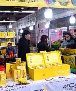 Tìm mua trà hoa vàng ba chẽ sấy lạnh giá rẻ tại Hà Nội