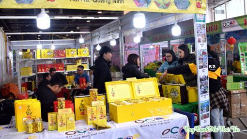Tìm mua trà hoa vàng ba chẽ sấy lạnh giá rẻ tại Hà Nội