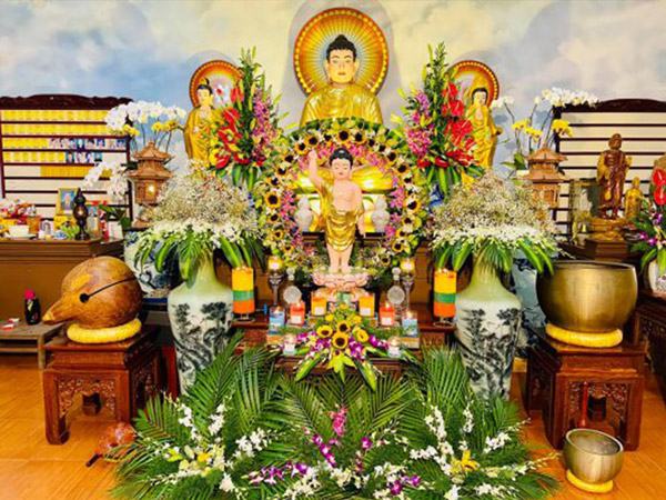 Hoa lan hồ điệp kính mừng đại lễ Phật Đản