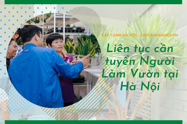Tuyển lao động phổ thông làm vườn tại Hà Nội