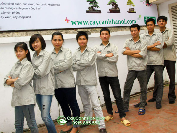 Tuyển lao động chăm sóc cây hoa cảnh tại Hà Nội