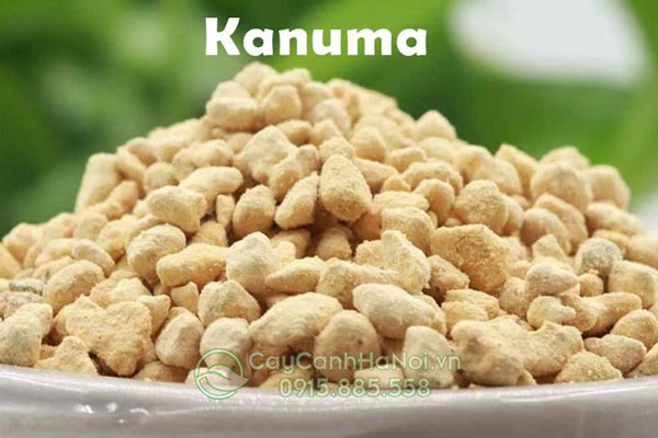 Đặc điểm đất sét nung Kanuma