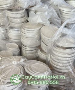 Nơi bán đĩa lót hứng nước chậu cây nhiêu kích thước tại Hà Nội