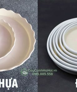 So sánh đĩa nhựa và đĩa sứ lót cây cảnh