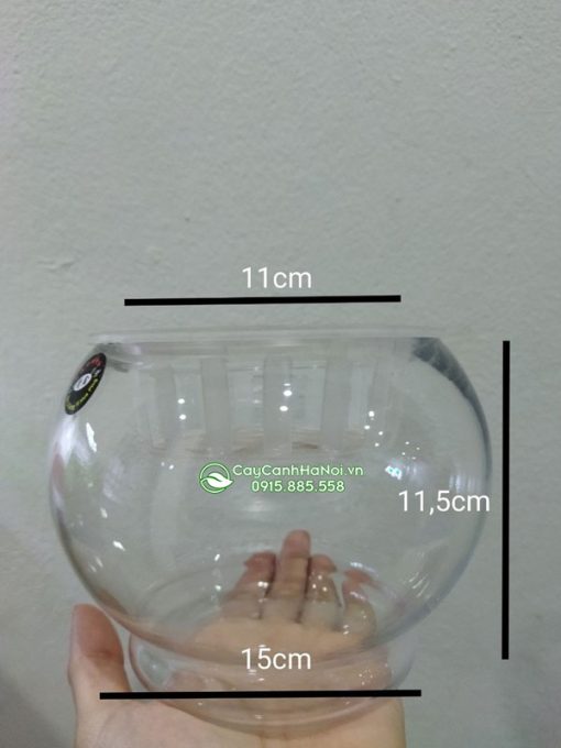 Bình thủy tinh tròn size 11,5x15cm