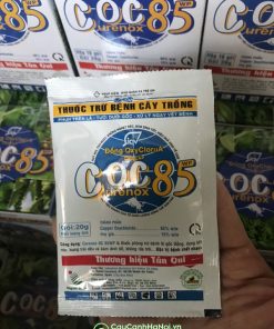 Cây Cảnh Hà Nội bán thuốc trừ nấm bệnh cây trồng COC 85