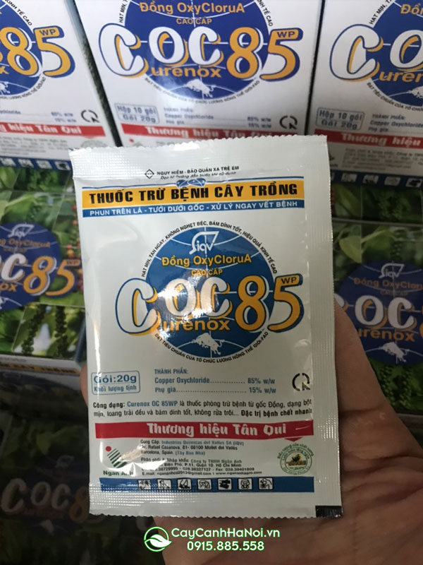 Cây Cảnh Hà Nội bán thuốc trừ nấm bệnh cây trồng COC 85