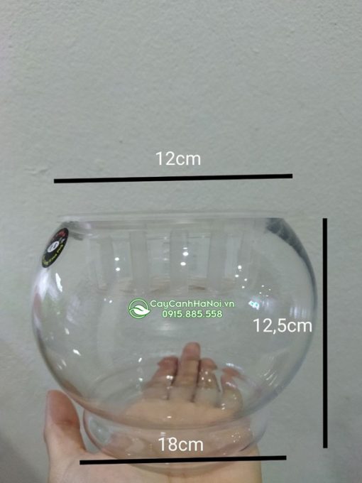 Chậu thủy tinh tròn size 12,5x18cm