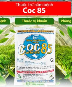 Công dụng thuốc trừ nấm bệnh COC 85