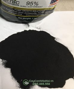 Phân bón sinh hoạc humic acid powder dạng bột mịn