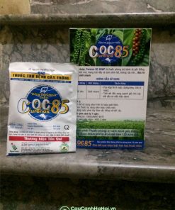 Thuốc trừ nấm bệnh COC 85 là thuốc bảo vệ thực vật