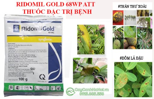 Ridomil Gold 68 WG thuốc trị nấm bệnh cho cây trồng