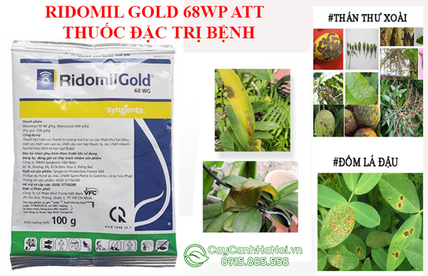 Ridomil Gold 68 WG thuốc trị nấm bệnh cho cây trồng