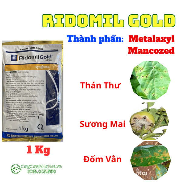 Công dụng thuốc trừ sâu bệnh Ridomil Gold 68 WG