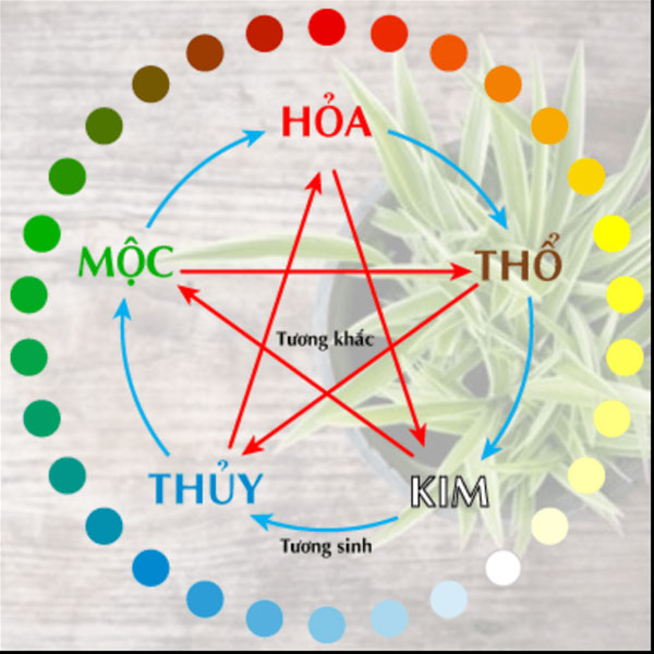 Phân loại cây phong thủy theo mệnh