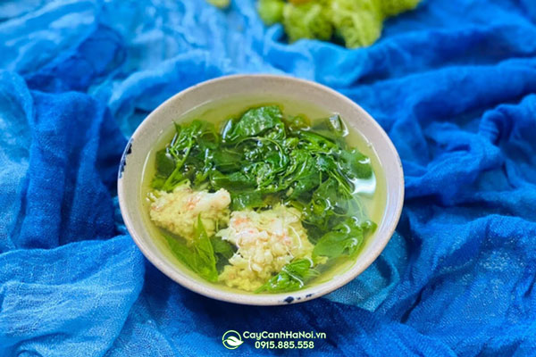 Cách nấu canh rau lac tiên