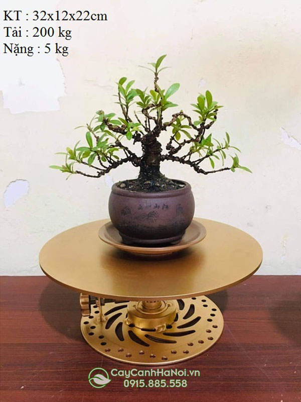 Bàn xoay bonsai giúp công việc diễn ra nhanh chóng