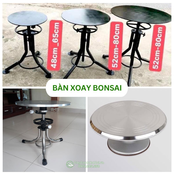 Bàn xoay bonsai