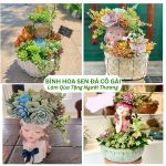 Bình Hoa Sen Đá Cô Gái Làm Quà Tặng Người Thương