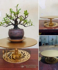 Công dụng của bàn xoay bonsai bằng thép