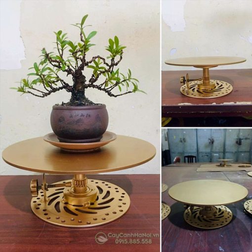 Công dụng của bàn xoay bonsai bằng thép