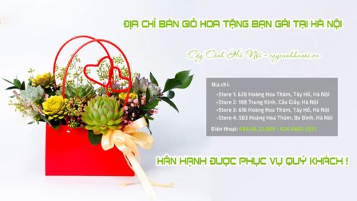 Địa chỉ bán giỏ hoa sen đá tặng bạn gái tại Hà Nội