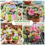 Giỏ Hoa Sen Đá Mừng Ngày 20-10