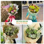 Bó Hoa Sen Đá Mừng Tốt Nghiệp