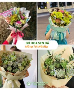 Bó hoa sen đá mừng tốt nghiệp