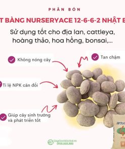 Ưu điểm phân quả bàng tan chậm Nhật Bản