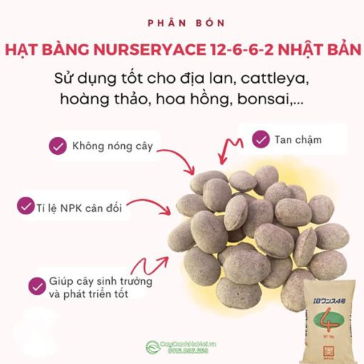 Ưu điểm phân quả bàng tan chậm Nhật Bản