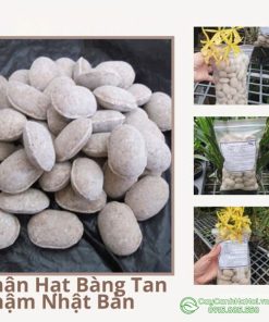 Nơi bán phân hạt bàn chậm tan tại Hà Nọi