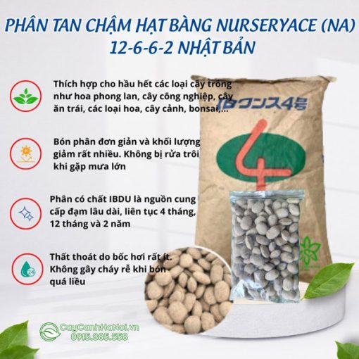 Những lưu ý khi sử dụng phân hạt bàng chậm tan