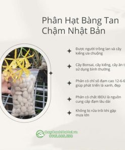 Thành phần phân hạt bàng tan chậm Nhật Bản