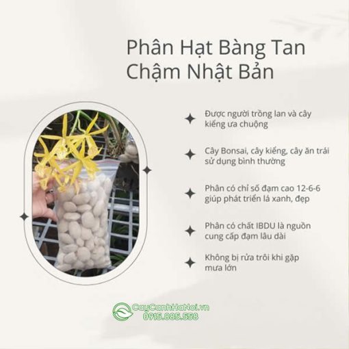 Thành phần phân hạt bàng tan chậm Nhật Bản