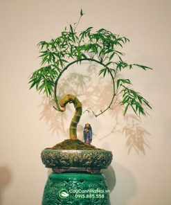 Cây tre bonsai dang vầng trăng khuyết đẹp