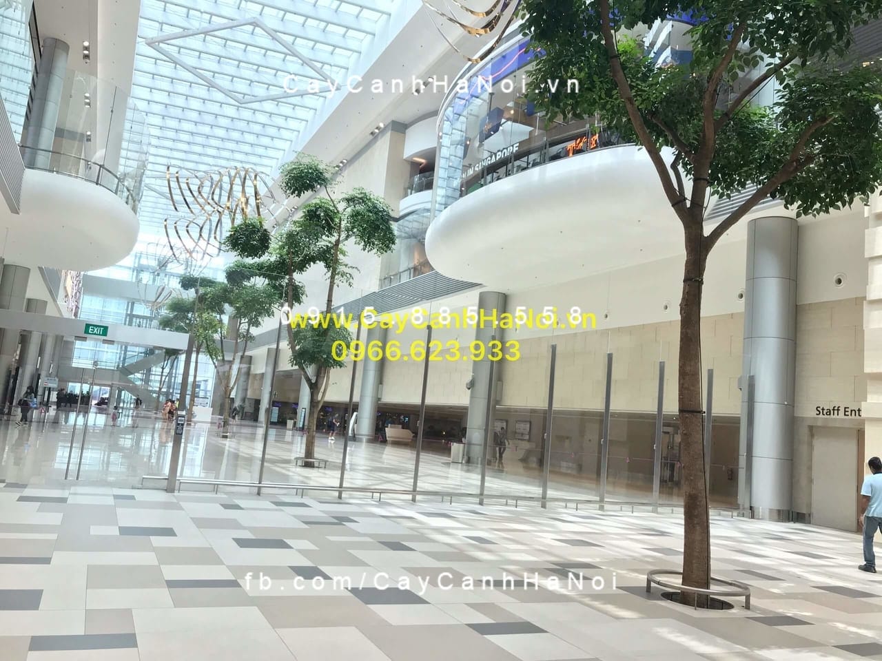 Cây Hạnh Phúc ở Sân bay Changi, Singapore