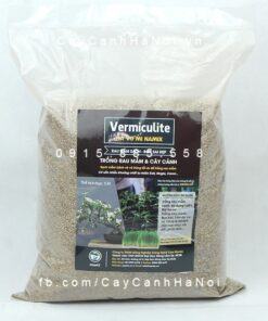 Đá Vermiculite - Vơ Mi