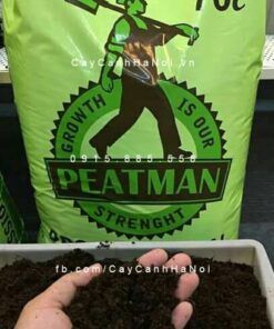 Giá thể Peat Moss Peatman